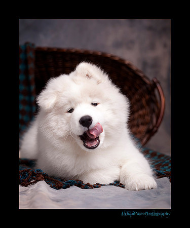 GreenBoy_10wks_web_0638