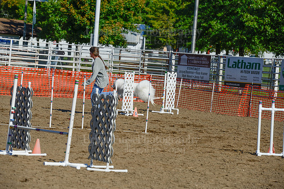 AGILITY-2161