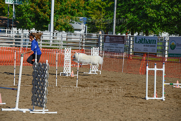 AGILITY-2129