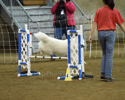 SCA2016_AG MON STD NOVICE-1099