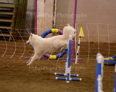 SCA2016_AG MON FAST NOVICE-3566