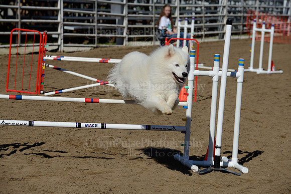 AGILITY-2041