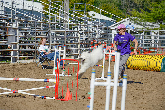 AGILITY-2200