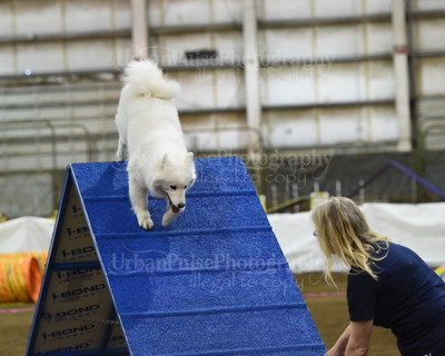 SCA2016_AG MON FAST NOVICE-0085