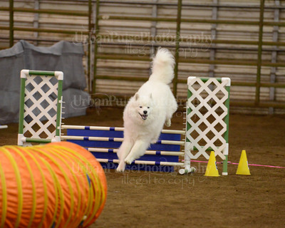 SCA2016_AG MON FAST NOVICE-3545