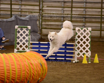 SCA2016_AG MON FAST NOVICE-3562