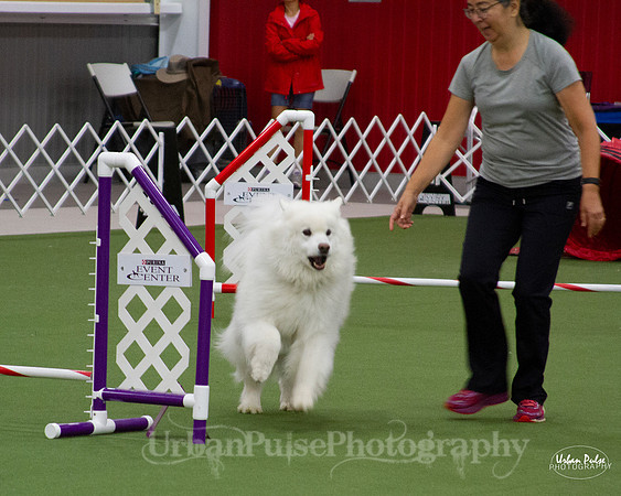 AGILITY_9439