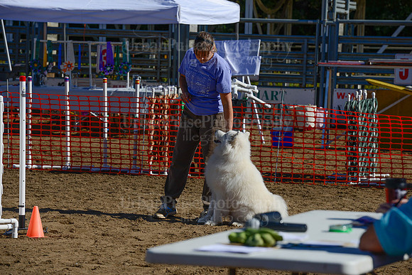 AGILITY-2097