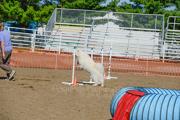 AGILITY-2117