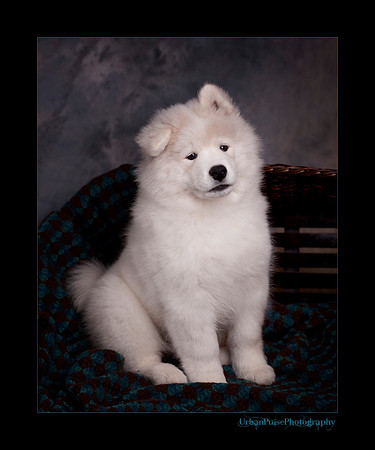 GreenBoy_10wks_web_0631