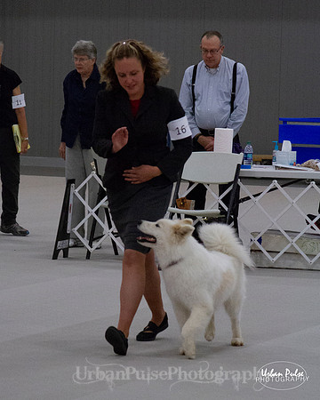 HEX SCA 2018_9543