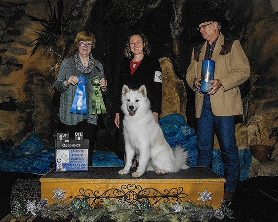 HEX AWARD SHOT SCA2017 OBEDIENCE