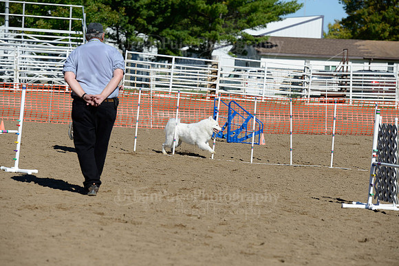 AGILITY-1905