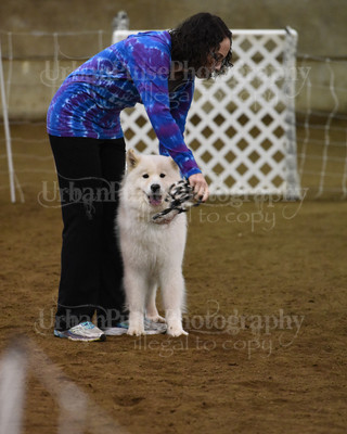 SCA2016_AG MON FAST NOVICE-0089