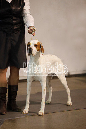 Fargo_2011-4202