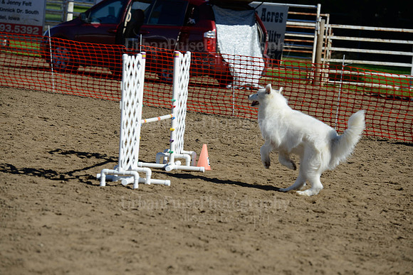 AGILITY-1922