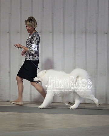 Fargo_2011-3873