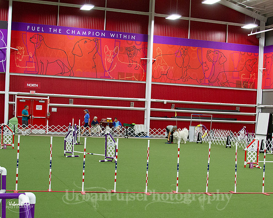 AGILITY_9428