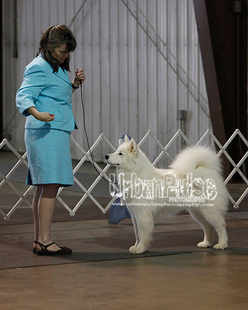 Fargo_2011-4171