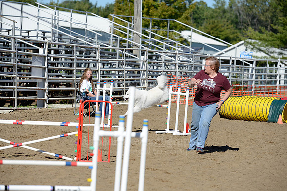 AGILITY-2010