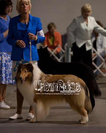 Fargo_2011-3918