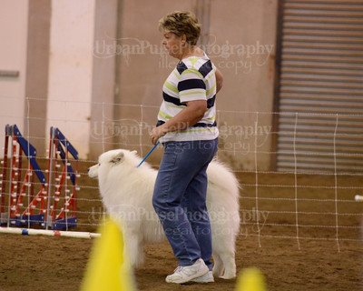SCA2016_AG MON FAST NOVICE-3588