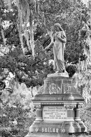 Savannah_9858