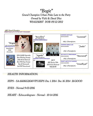 Bogie Pedigree and Health Info