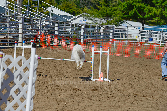 AGILITY-2323