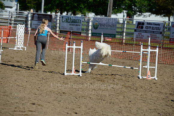 AGILITY-1925