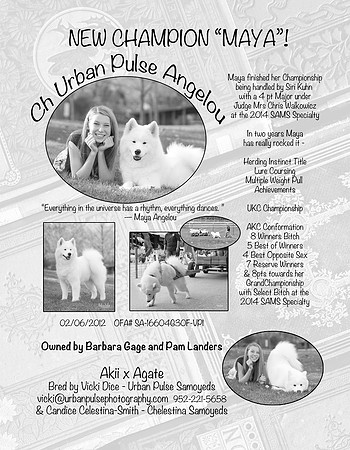 MAYA BULLETIN AD NEW CH final