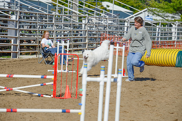 AGILITY-2176