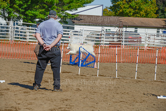 AGILITY-2104