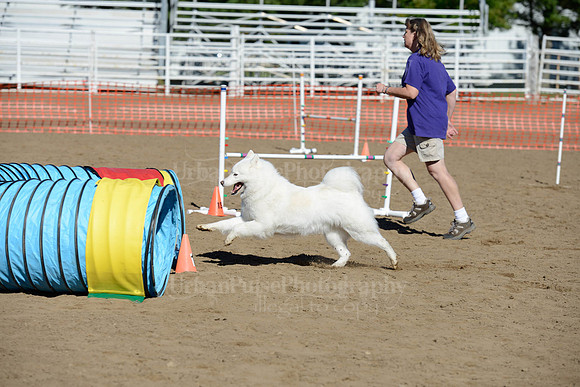 AGILITY-1911