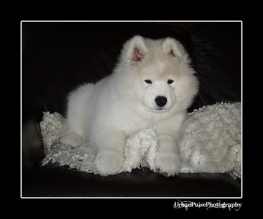 GreenBoy_10wks_web_DSC00350