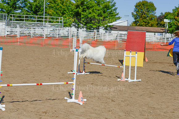 AGILITY-2207
