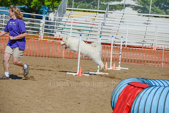 AGILITY-2092
