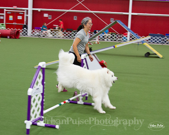 AGILITY_9450