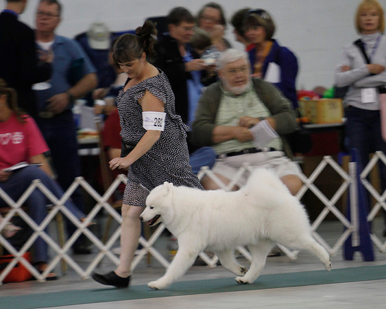 SCANational2012_Allele_2196