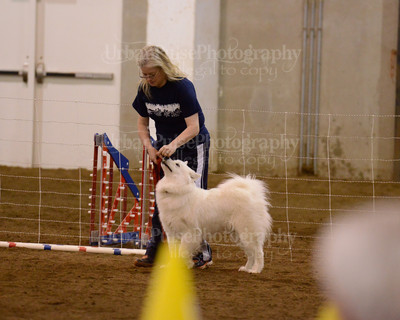 SCA2016_AG MON FAST NOVICE-3548