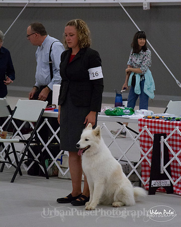 HEX SCA 2018_9528