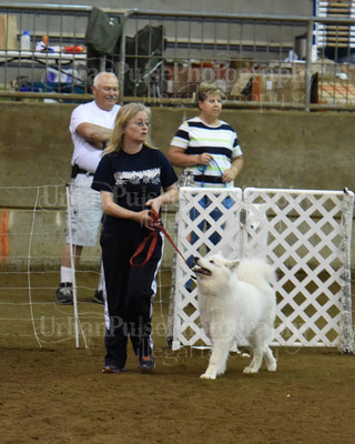 SCA2016_AG MON FAST NOVICE-0120