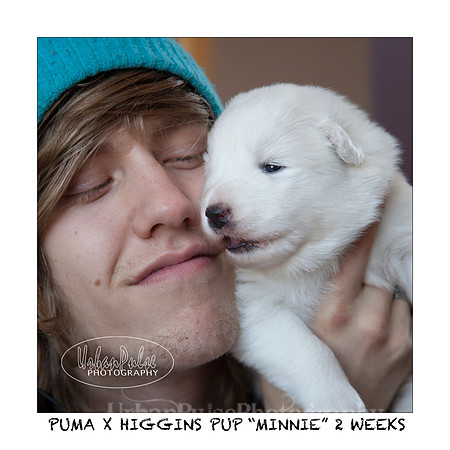MINNIE_2WEEKS_3455