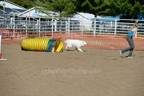 AGILITY-1933