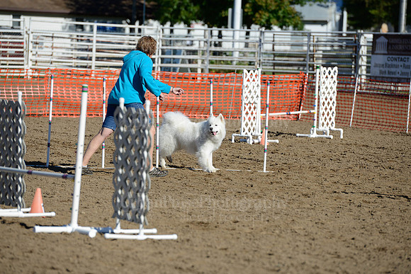 AGILITY-1876