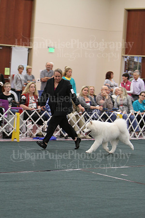 D BOB GR4-3972 2014 SCA National