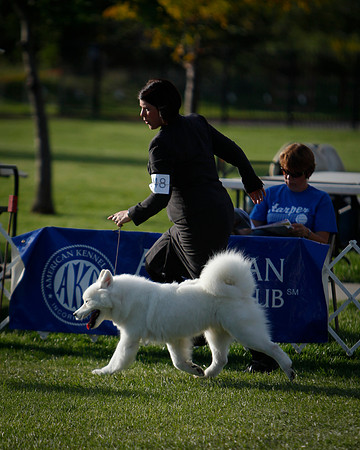 BREED_Finals-8504