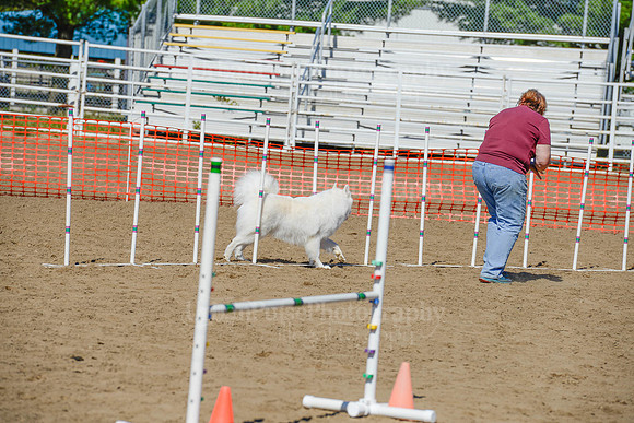 AGILITY-2325