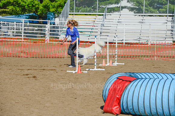AGILITY-2135