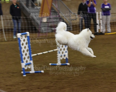 SCA2016_AG MON FAST NOVICE-0066